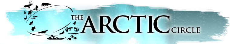 The Arctic
              Circle